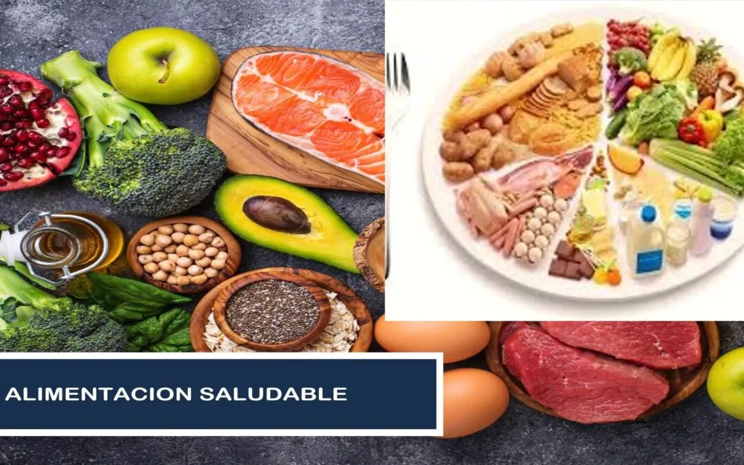 Alimentación Balanceada Sana y Saludable