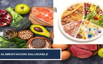 Alimentación Balanceada Sana y Saludable