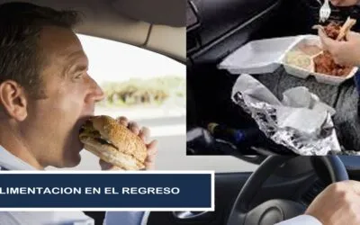 Alimentación en el Viaje de Regreso