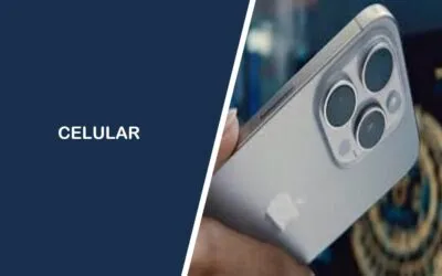 El Celular en el Viaje de Compras Mayorista