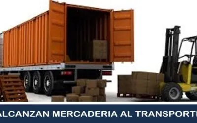 Me Alcanzan la Mercadería al Transporte que yo Elija